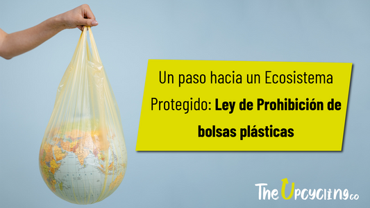 "Un paso hacia un Ecosistema Protegido: Ley de Prohibición de bolsas plásticas"